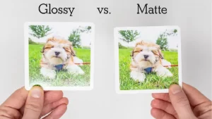 تفاوت لیبل مات و براق